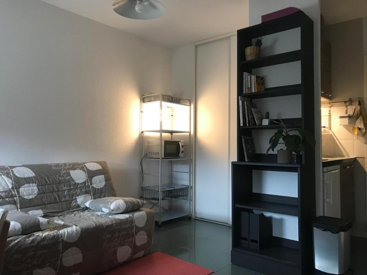 Appartement Dans Toulouse Hyper Centre Extérieur photo